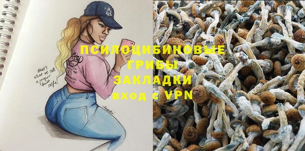 синтетический гашиш Нефтекумск